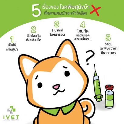 5 เรื่องของโรคพิษสุนัขบ้า ที่หลายคนมักจะเข้าใจผิด!